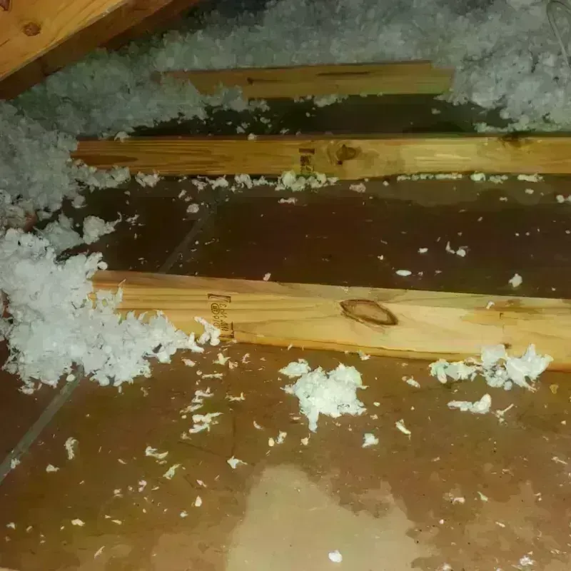 Attic Water Damage in Water Mill, NY